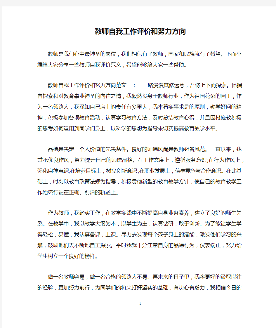 教师自我工作评价和努力方向