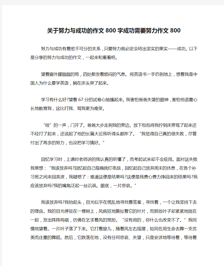 关于努力与成功的作文800字成功需要努力作文800