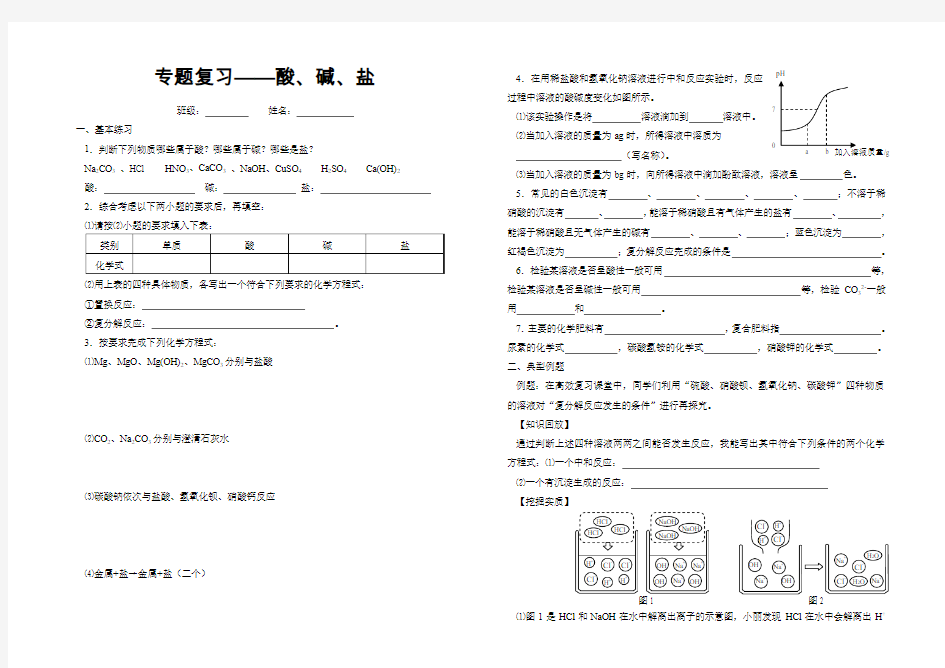 初中化学专题复习(10)——酸碱盐