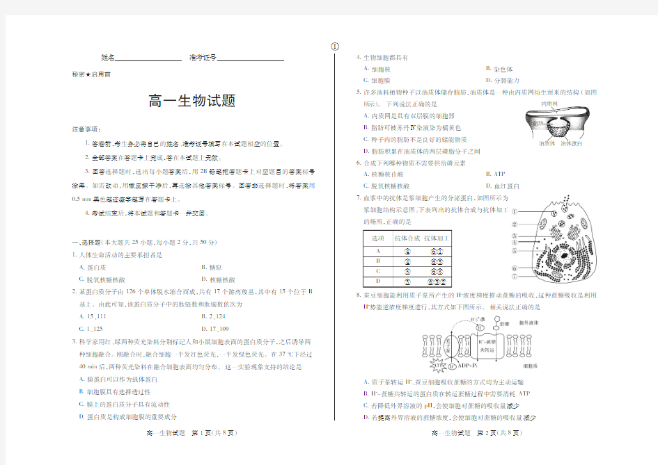 2018-2019学年高一第一学期期末测评考试·生物·试题(一)及答案