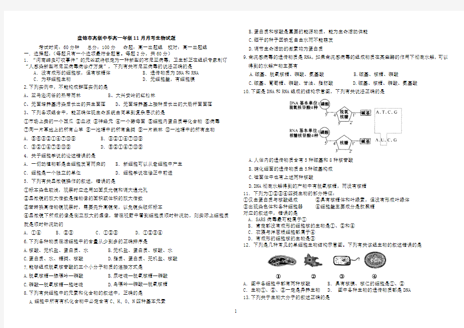 生物11月月考试题