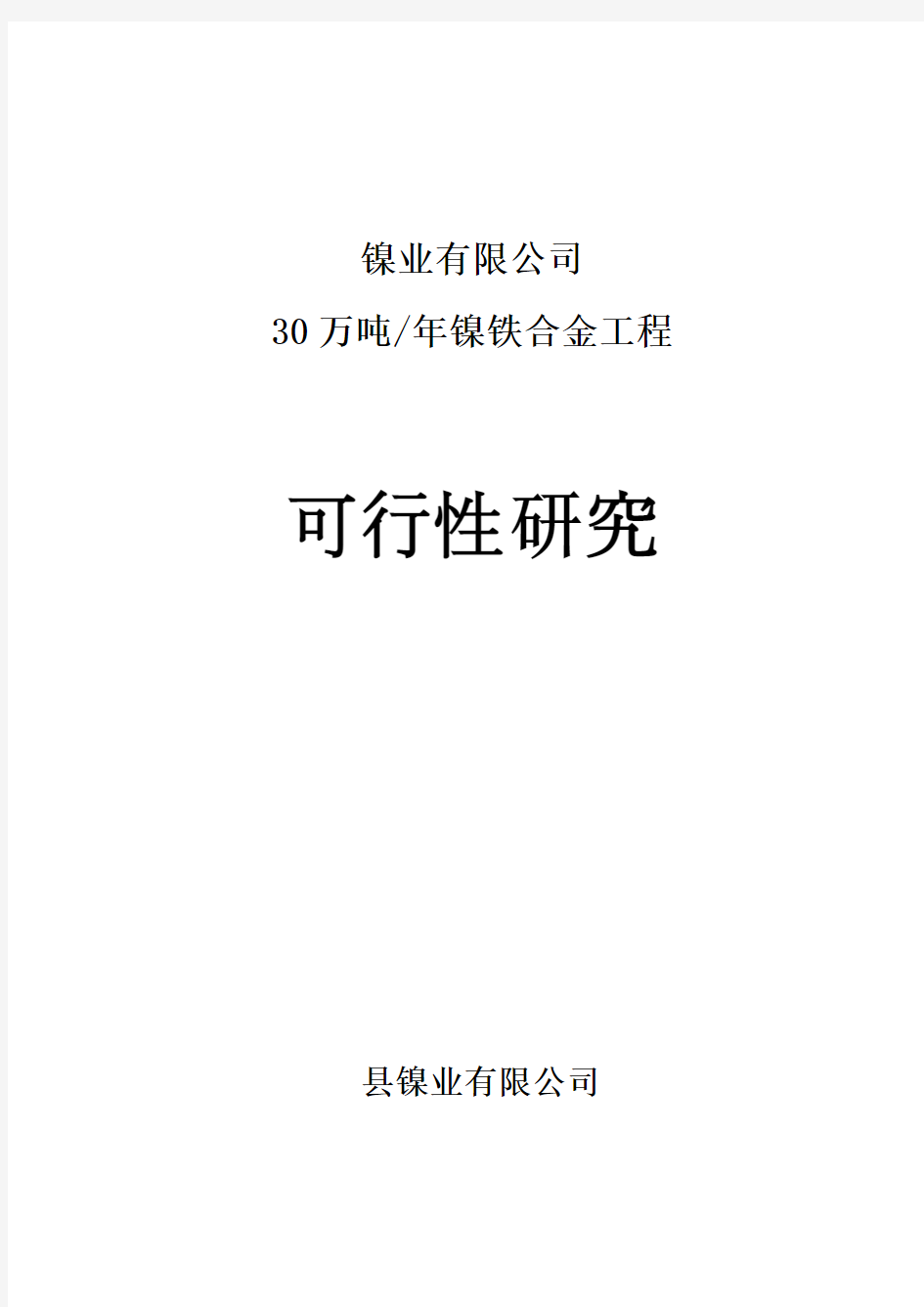 沾化县炜烨镍业有限公司镍铁合金项目可行性研究报告(淄博)