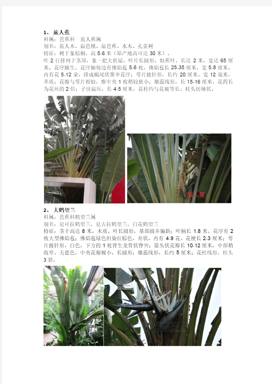 广东省深圳莲花山常用植物名录