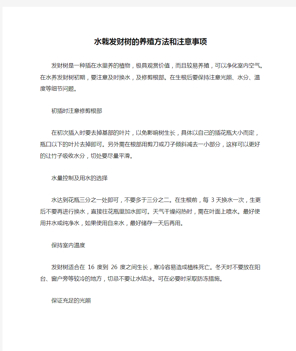 水栽发财树的养殖方法和注意事项