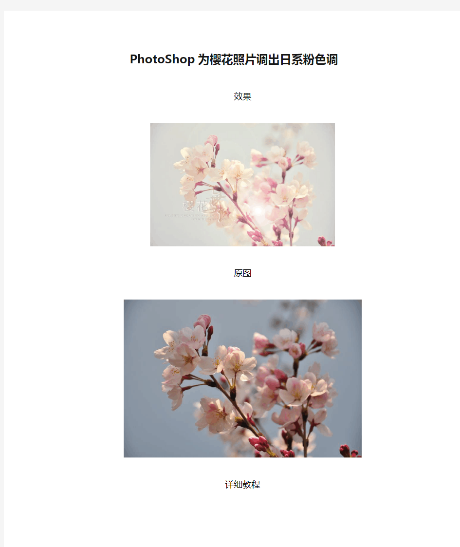 PhotoShop为樱花照片调出日系粉色调