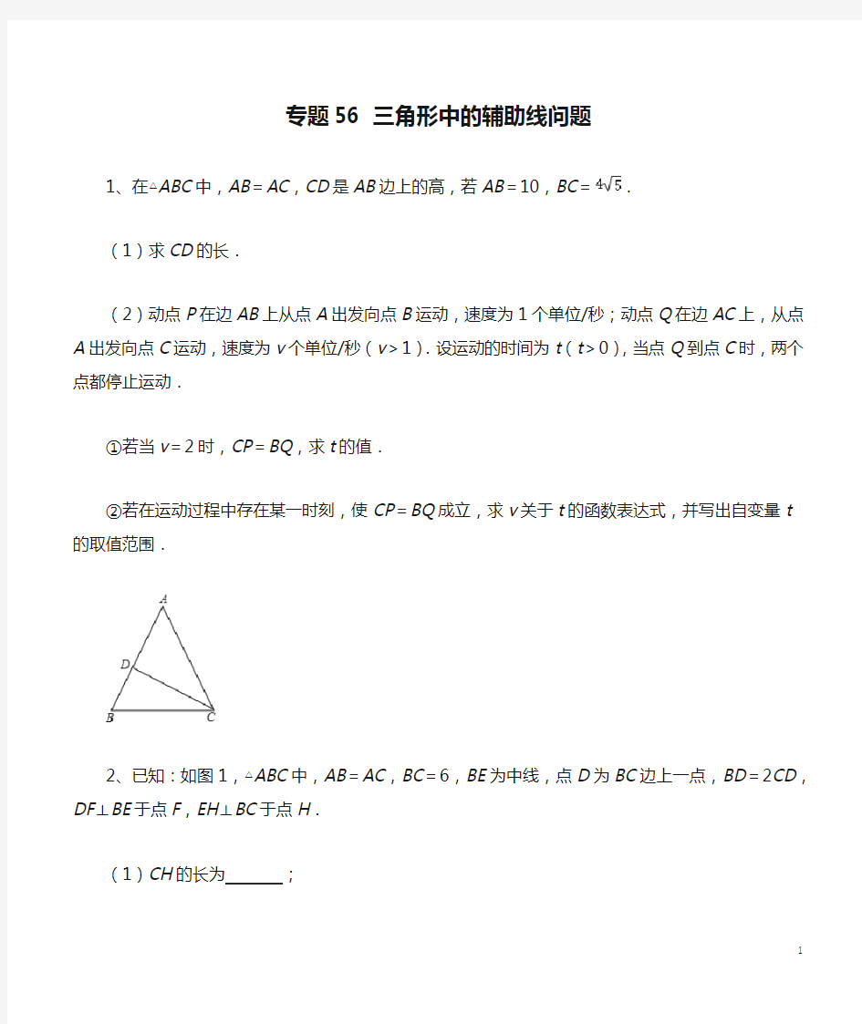 专题56 三角形中的辅助线问题(原卷版)