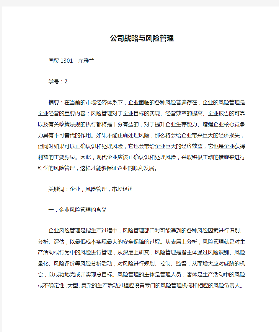 公司战略与风险管理论文