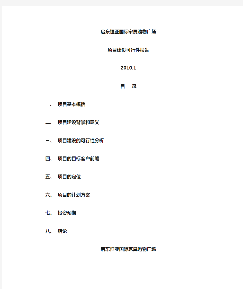 项目可行性报告