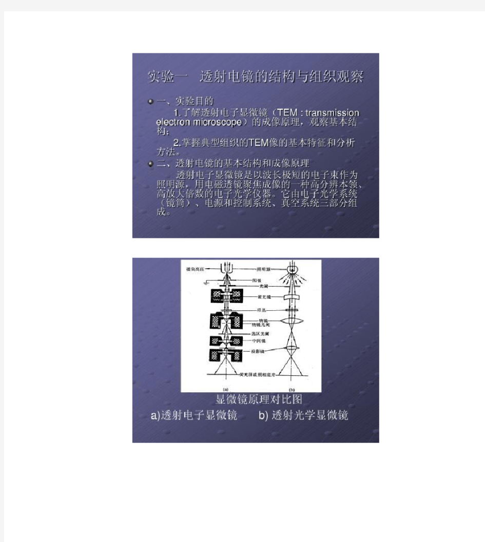 实验一透射电镜的结构与组织观察(精)