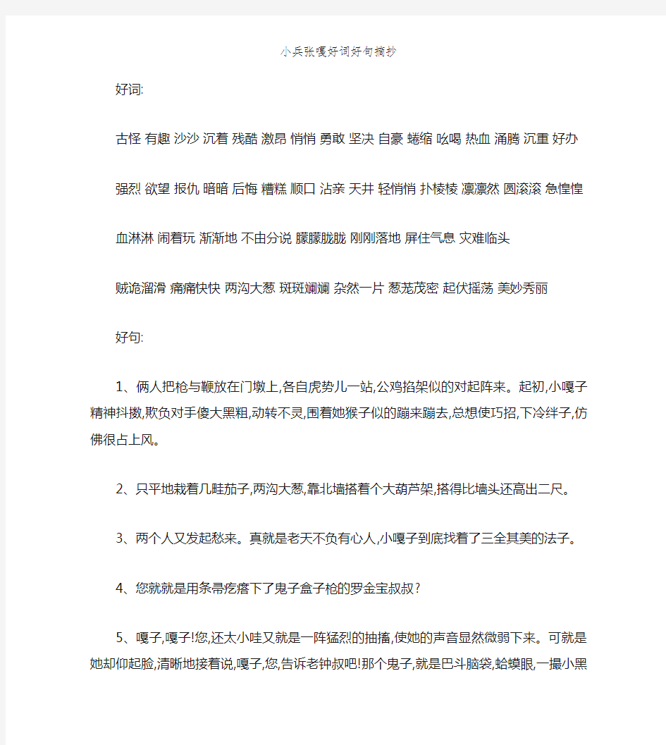 小兵张嘎好词好句摘抄