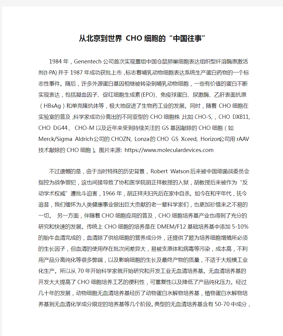从北京到世界 CHO细胞的“中国往事”