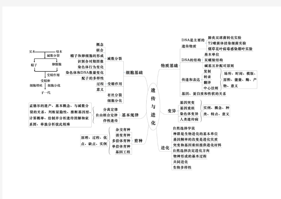 生物的必修2思维导图