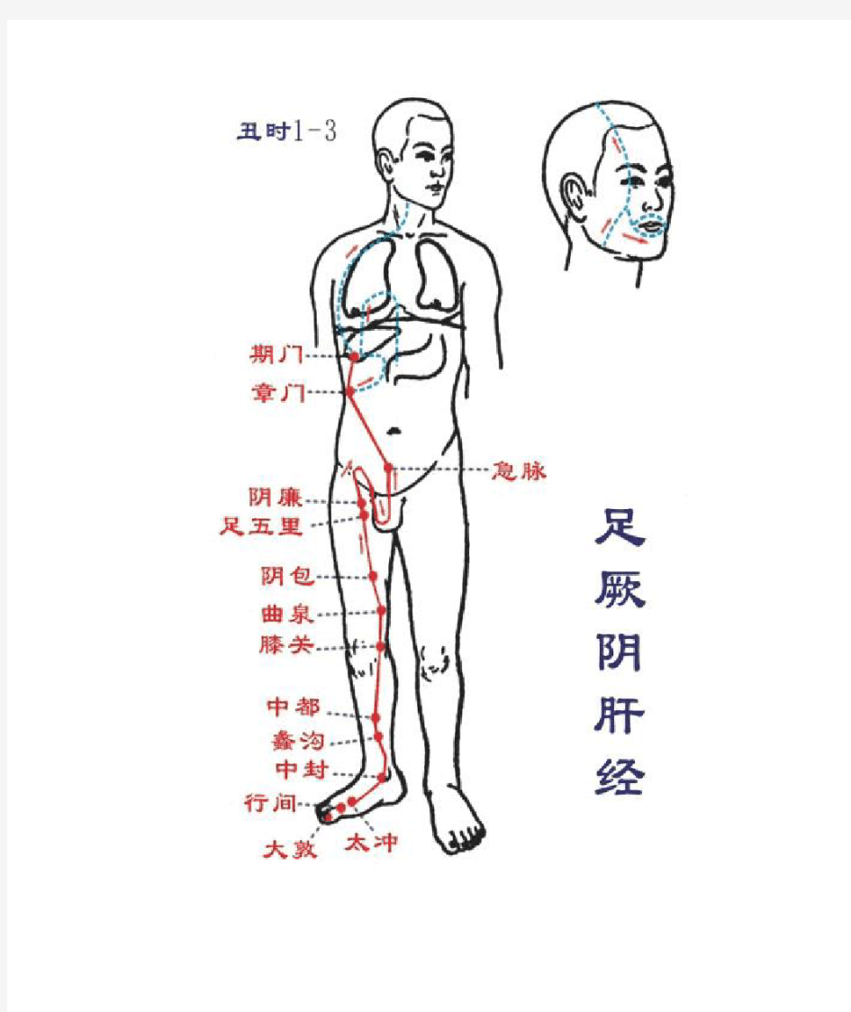 十二经络高清图(包含经络穴位)