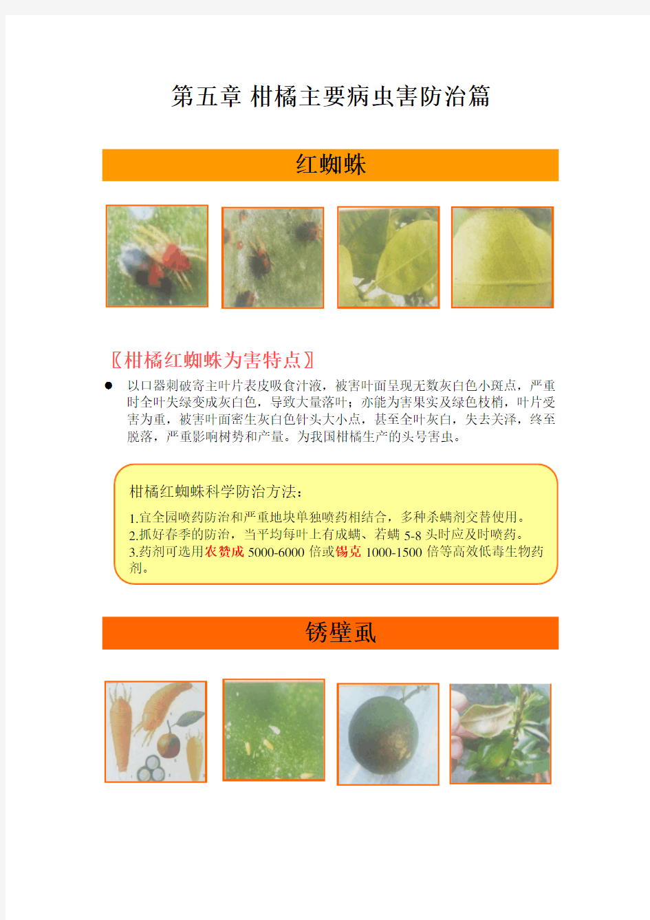 柑橘主要病虫害防治篇