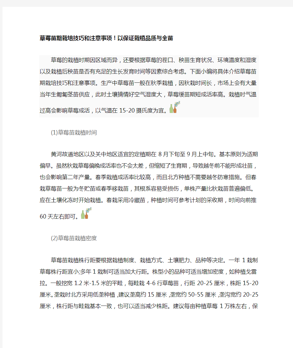 草莓苗期栽培技巧和注意事项