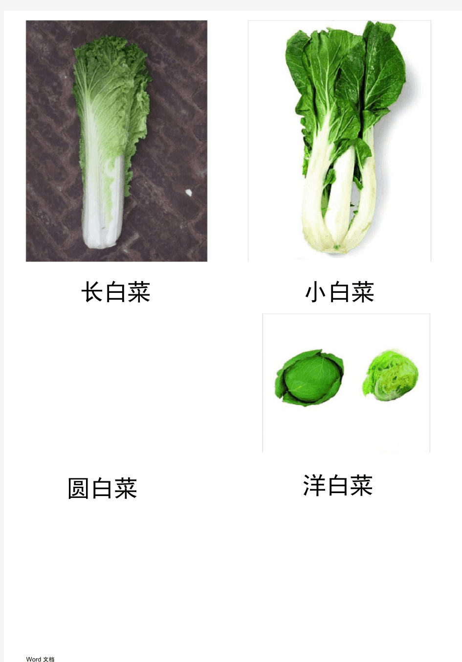 蔬菜图片大全