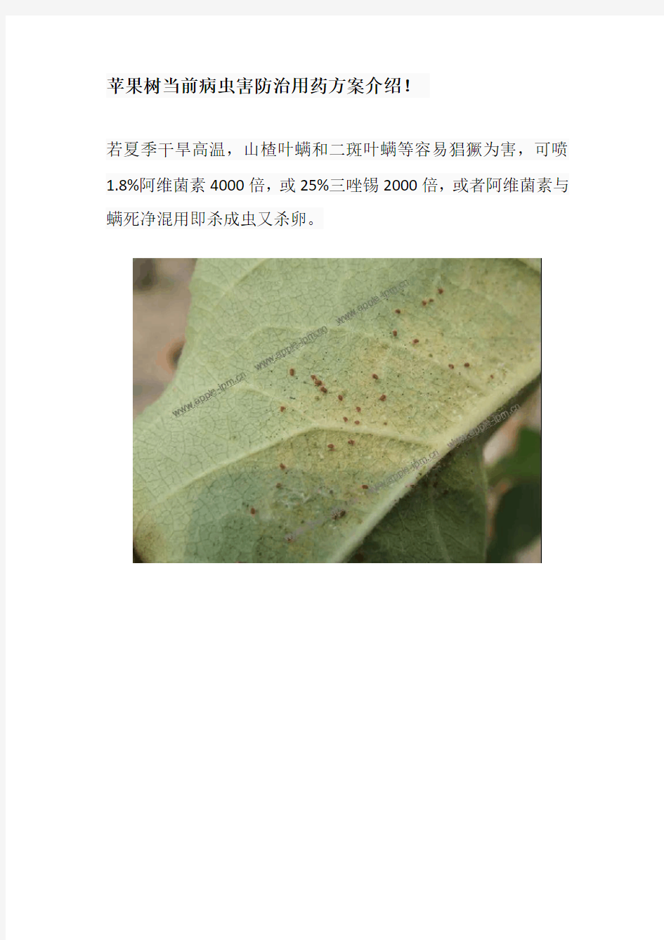 苹果树当前病虫害防治用药方案介绍