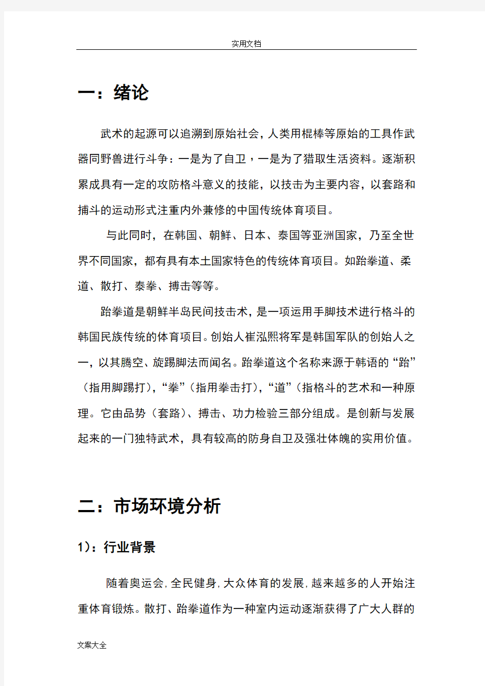 武馆商业策划方案设计书