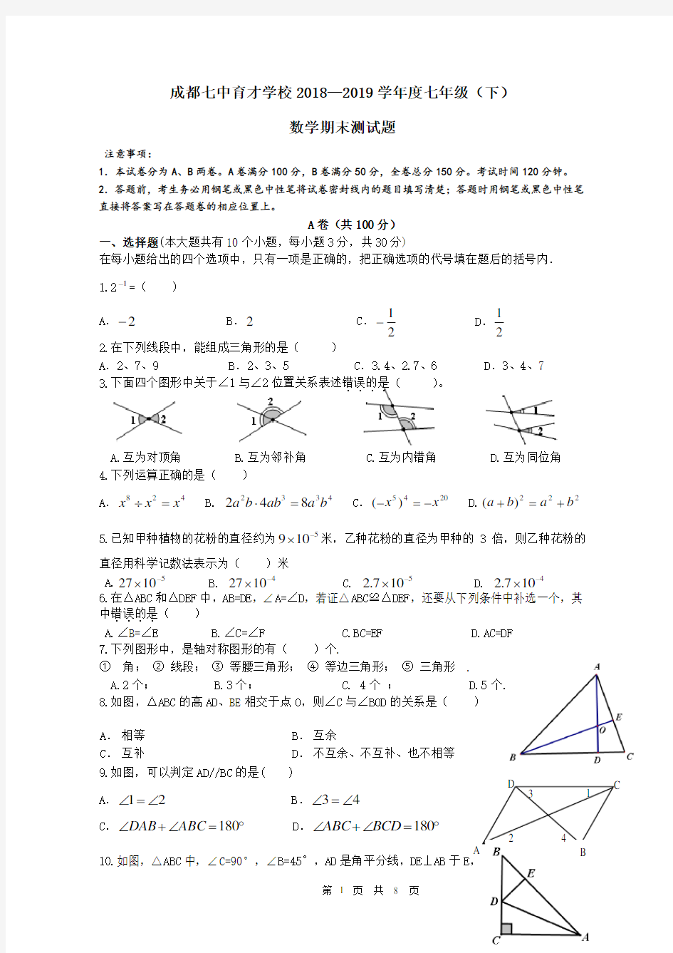 成都七中育才学校2018—2019学年度七年级(下)数学期末考试试题及答案