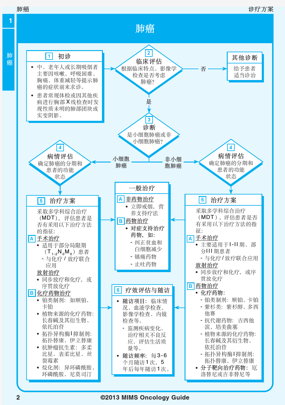 2013MIMS呼吸系统疾病指南-肺癌