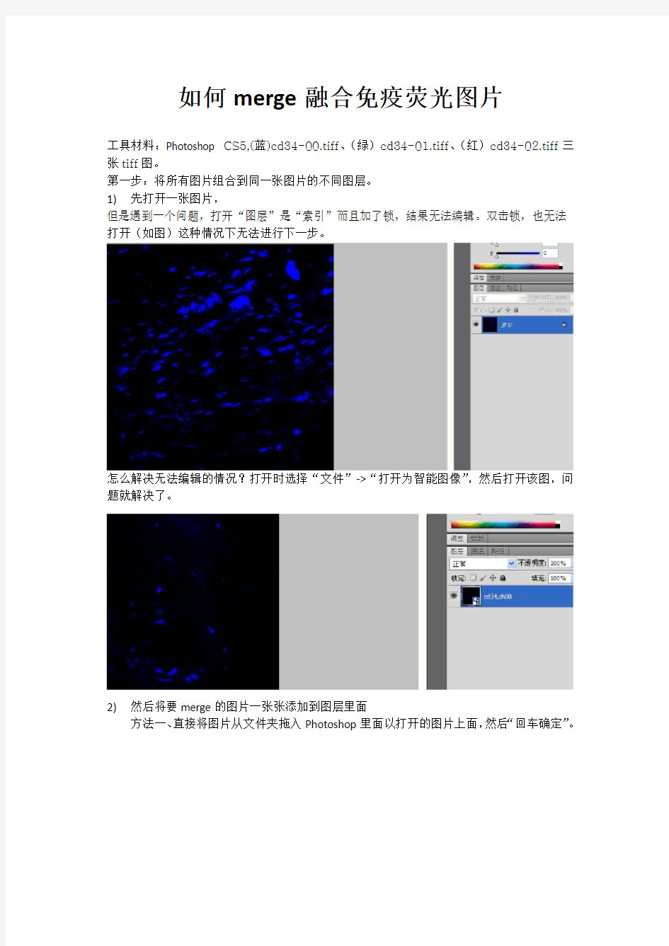 如何merge融合免疫荧光图片