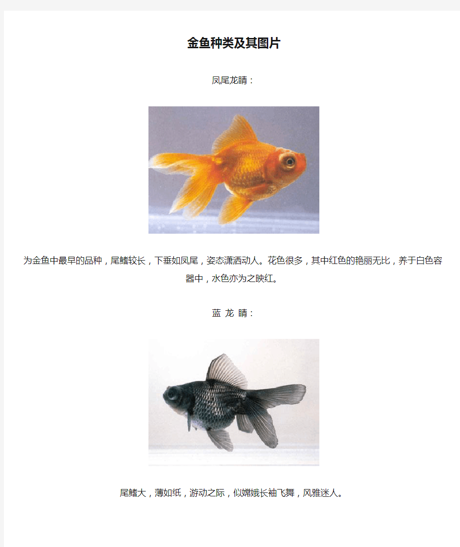 金鱼种类及其图片