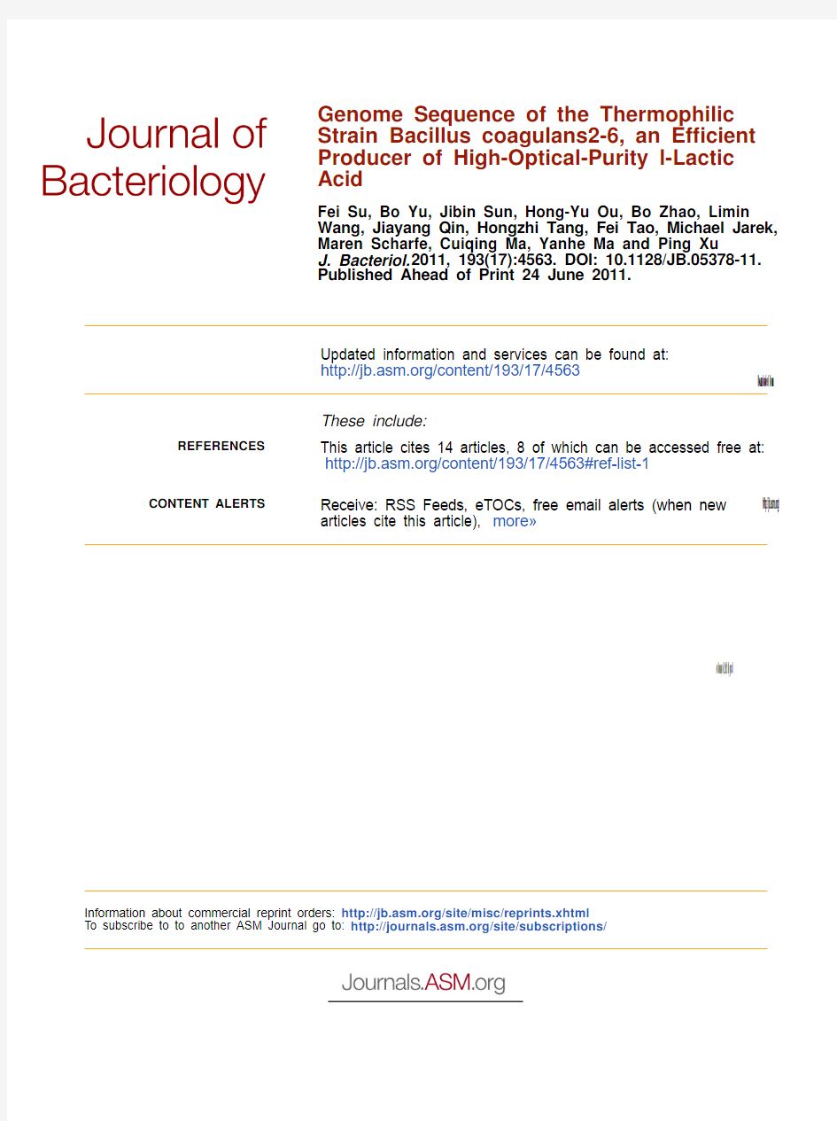 Genome Sequence of the Thermophilic Strain Bacillus coagulans 2-6,