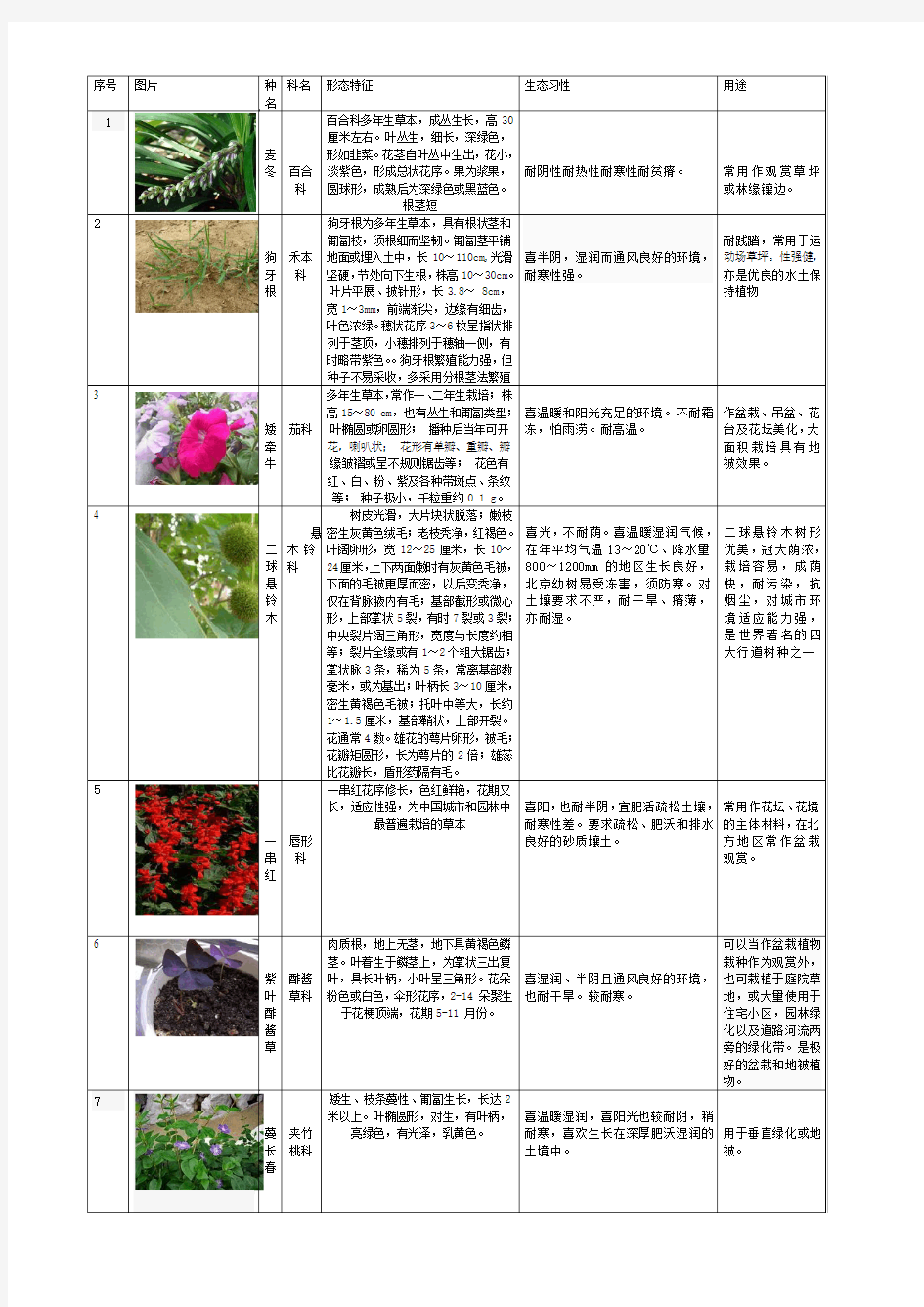 观赏植物学50种植物总结,含图。