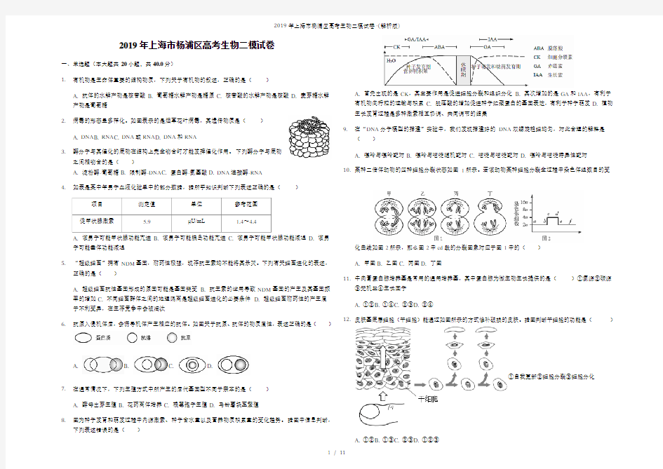 2019年上海市杨浦区高考生物二模试卷-(解析版)