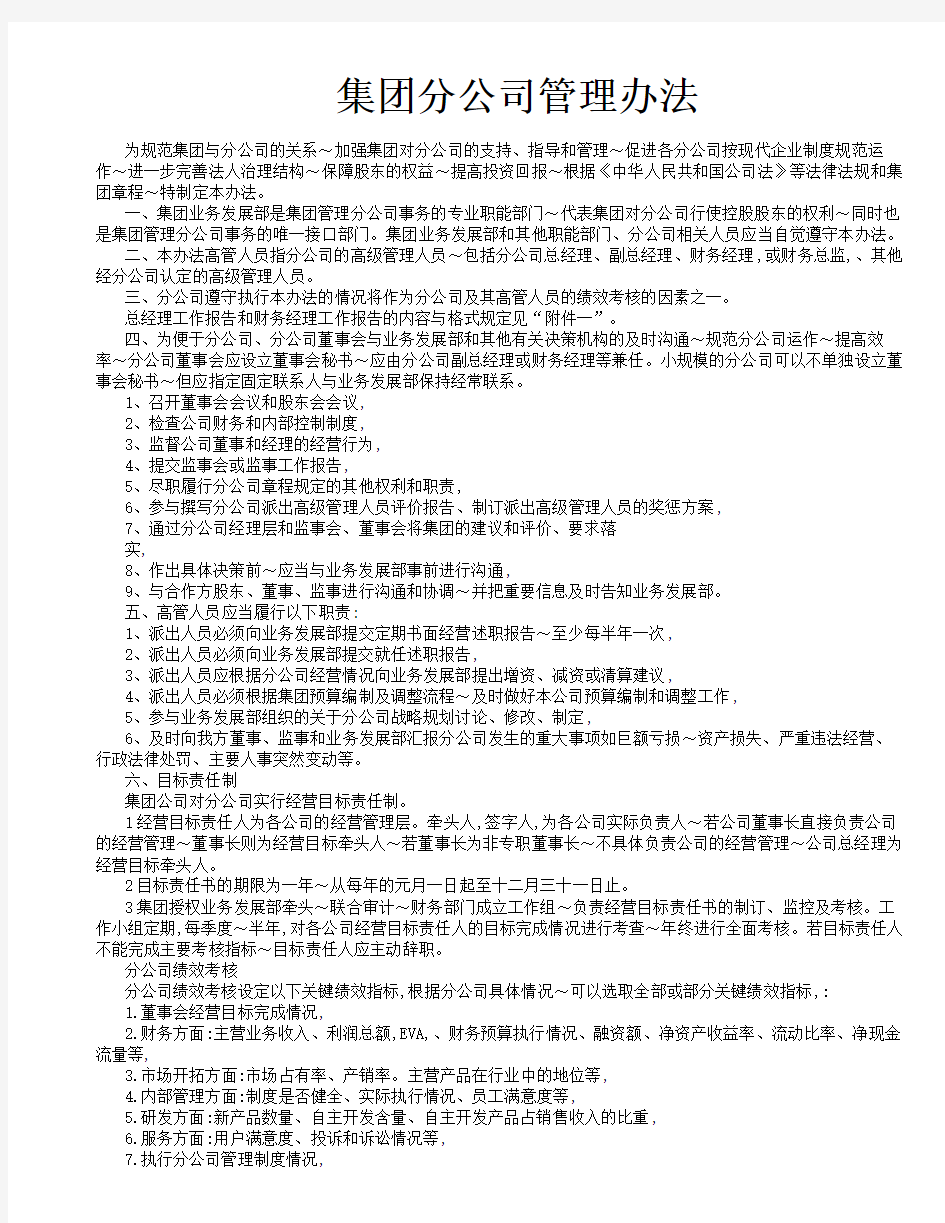 集团分公司管理办法