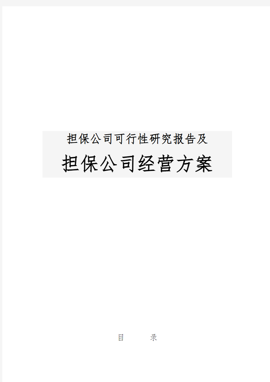 担保公司可行性实施报告及担保公司经营方案