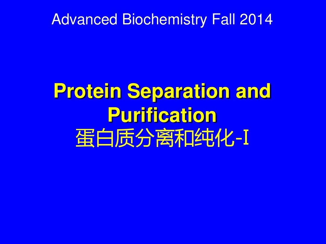 蛋白质的纯化与鉴定- 1p (1)