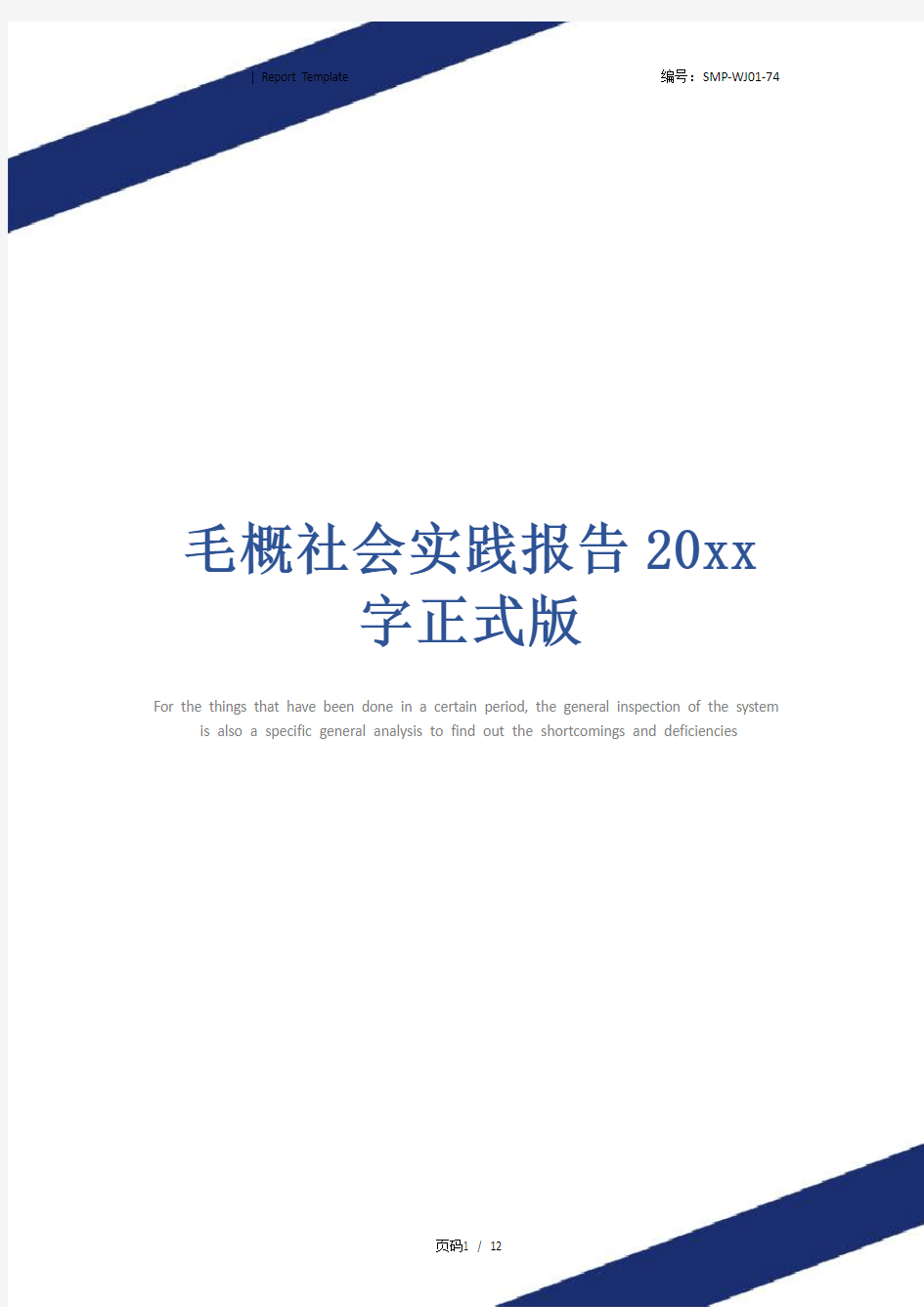 毛概社会实践报告20xx字正式版