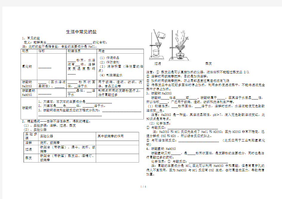 (完整版)生活中常见的盐化学肥料知识点