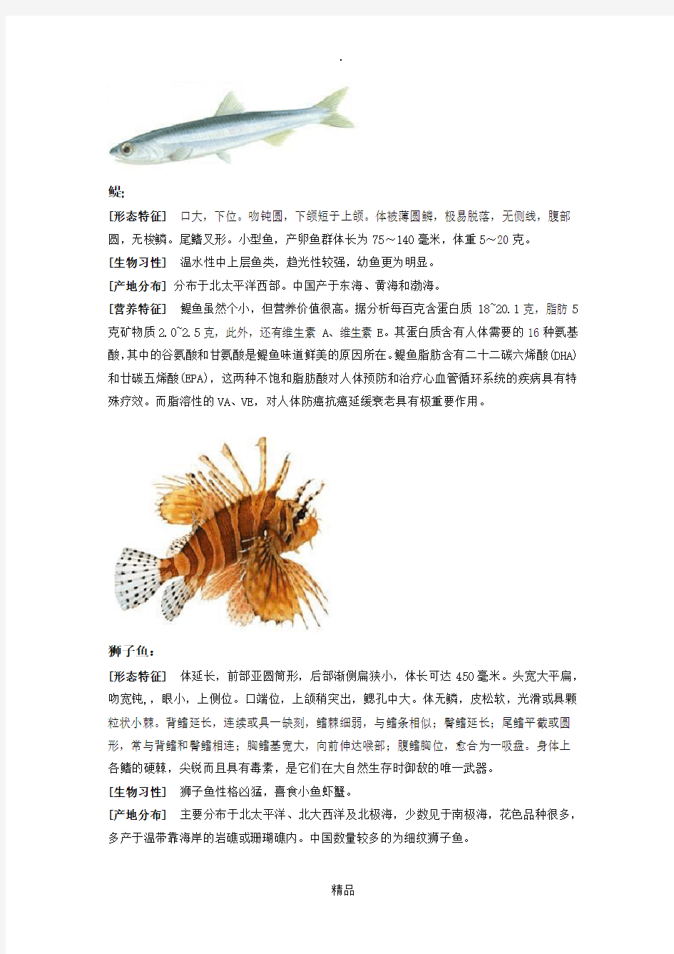 各种海鲜鱼类的介绍。