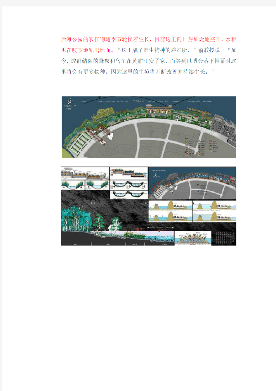 上海世博后滩湿地公园分析