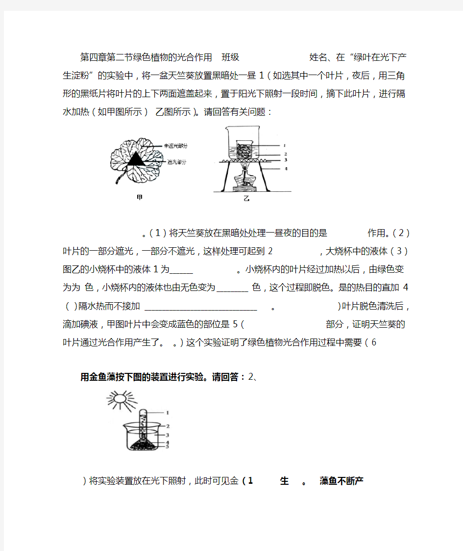 初一光合作用练习题