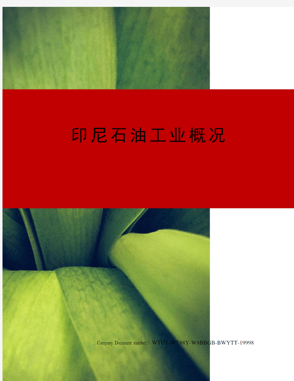 印尼石油工业概况