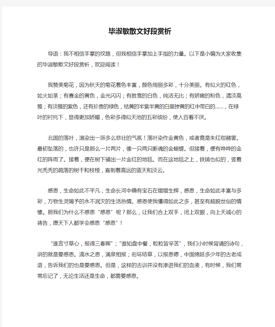 毕淑敏散文好段赏析