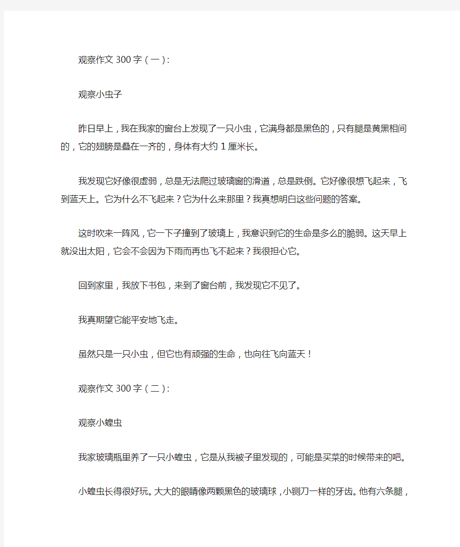 观察作文300字12篇