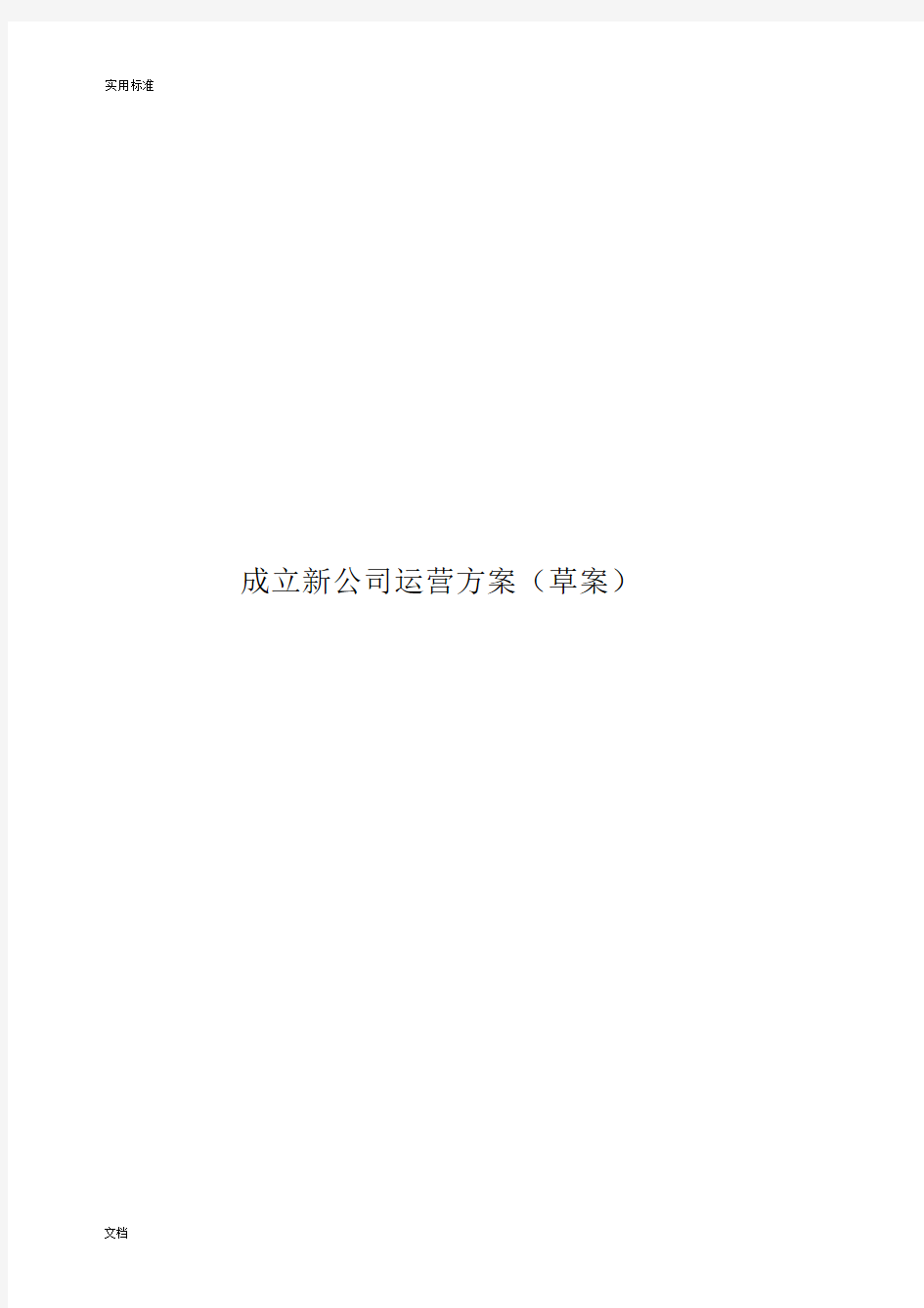 成立新公司管理系统运营方案设计(草案).docx