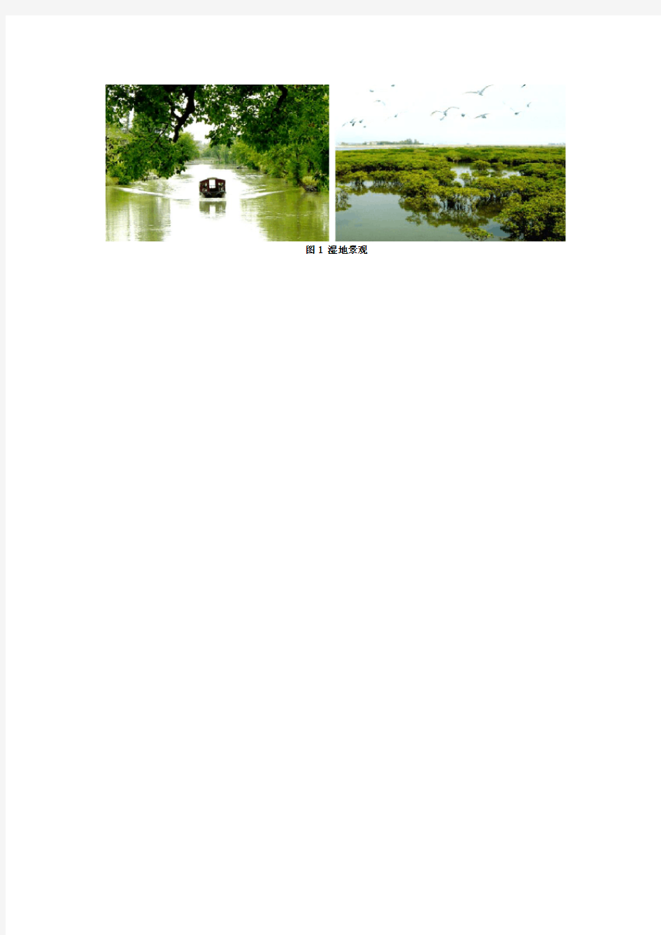 湿地公园旅游规划