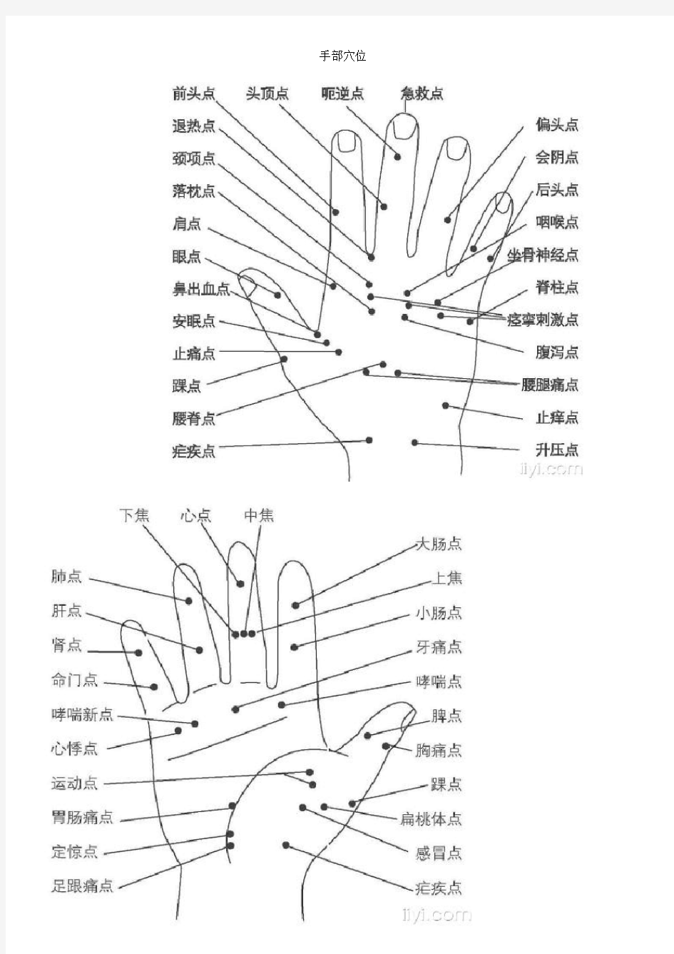 手部穴位