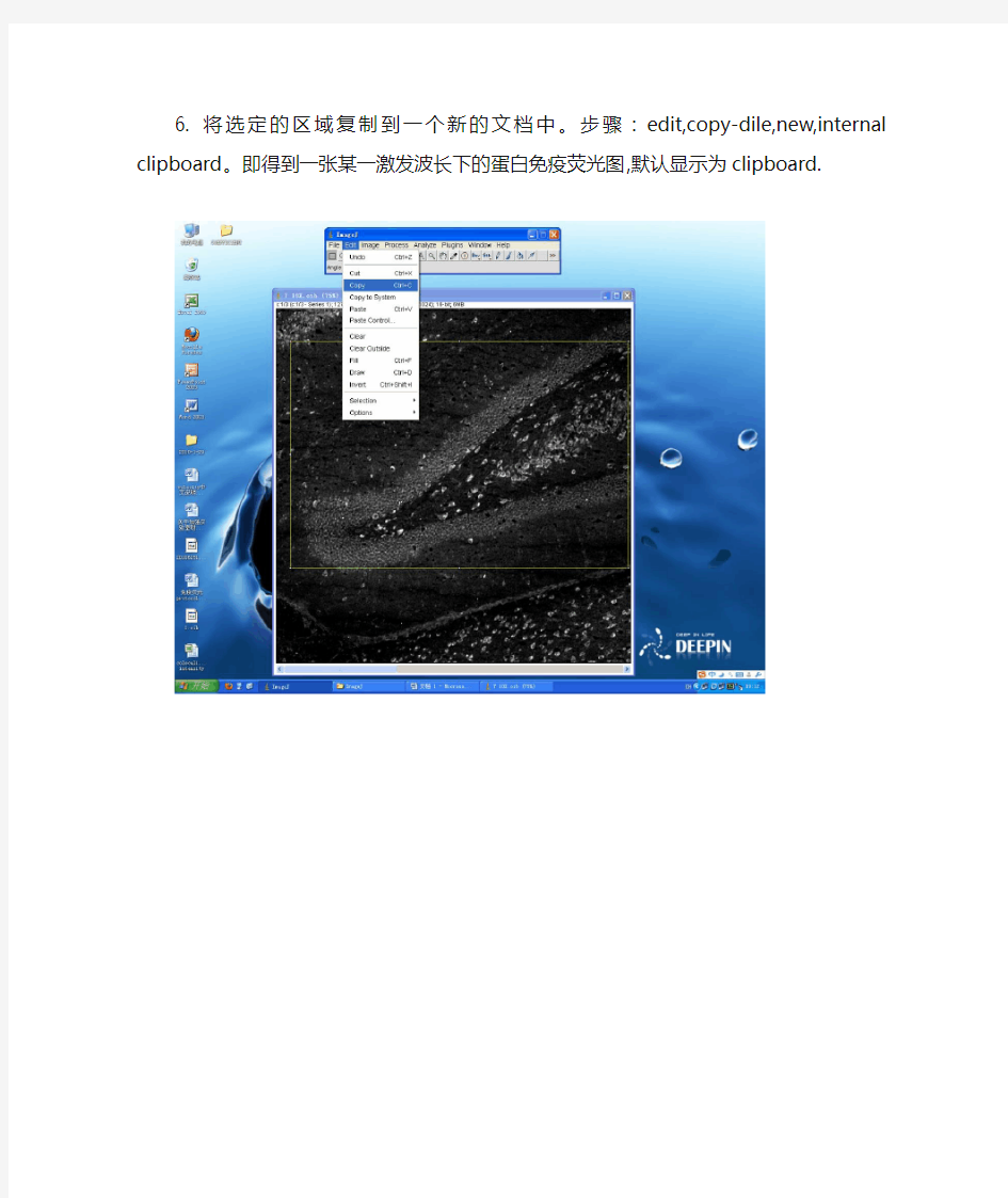 image J 软件分析双标及多标格免疫荧光共表达操作步骤2