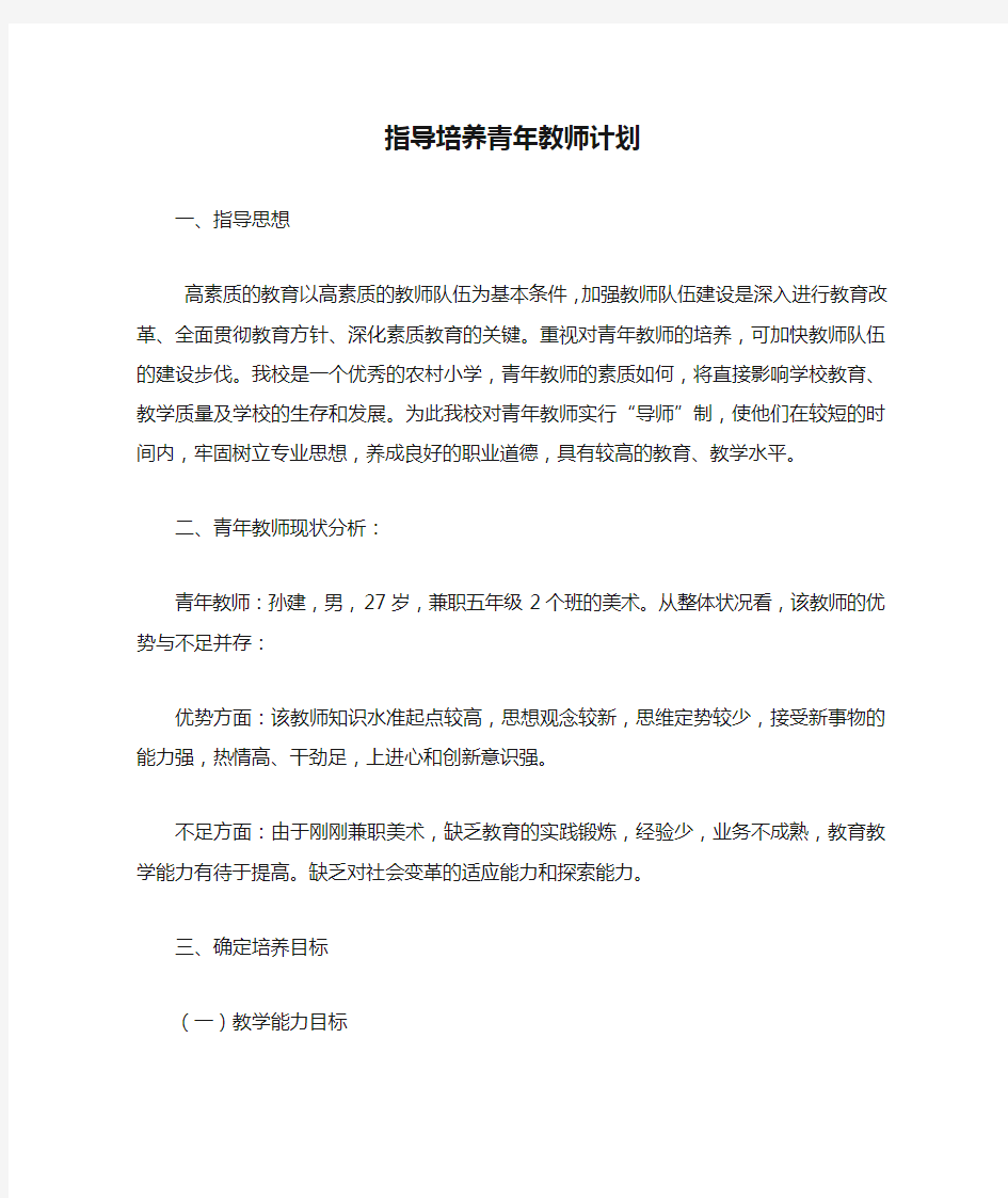 指导培养青年教师计划