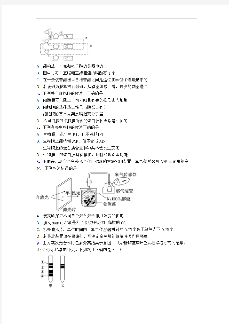 山东德州市第一中学高中生物必修一试卷和答案