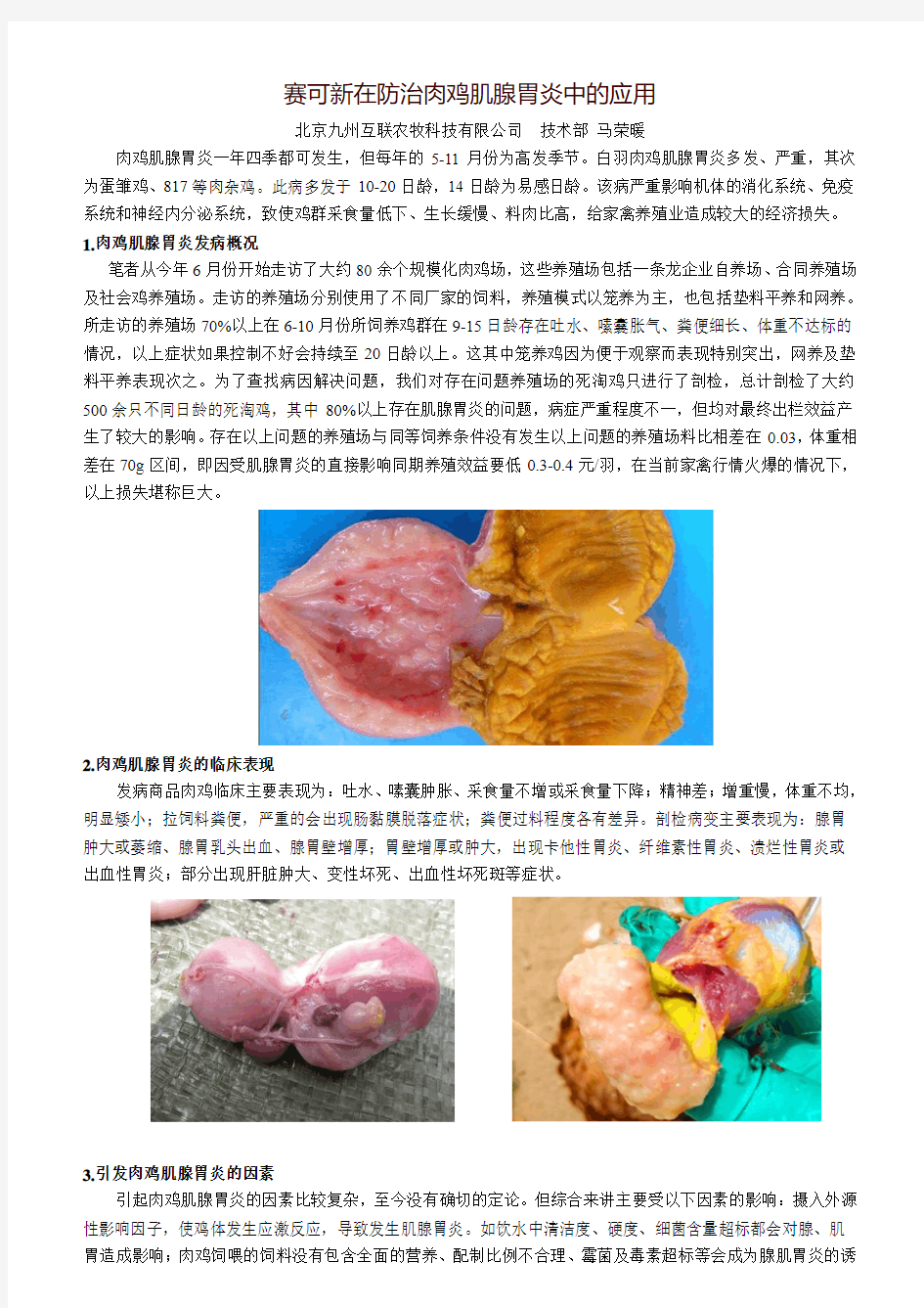 赛可新在防治肉鸡肌腺胃炎中的应用