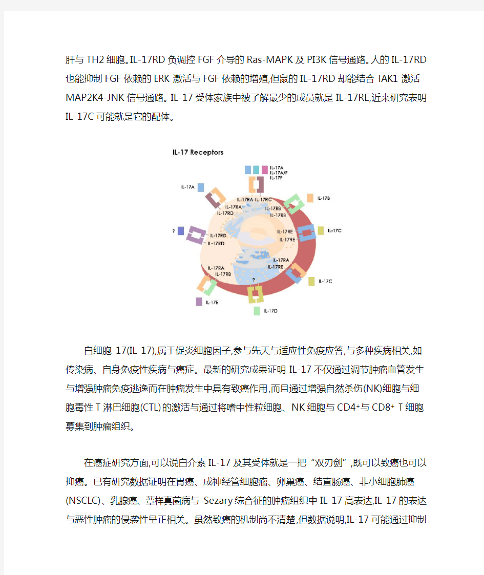 IL17细胞因子及其受体家族研究进展