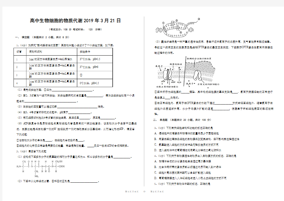 高中生物细胞的物质代谢