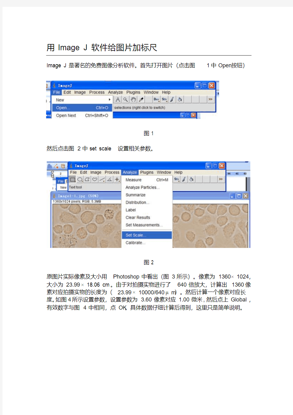 ImageJ软件给图片添加标尺